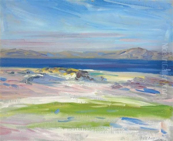 The View Of The White Sands, Iona - view 1