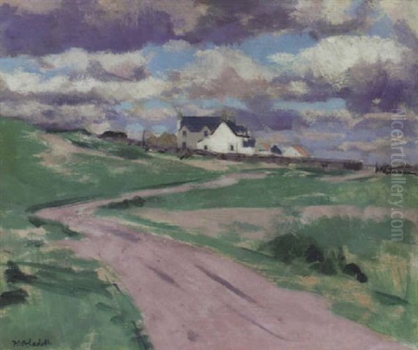 The Road To The Farm, Iona - view 1