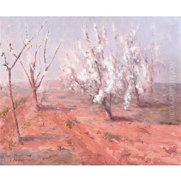 Desert Willows In Pink Landscape - view 1
