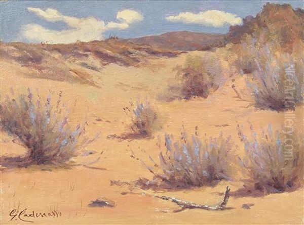 Pink Desert - view 1