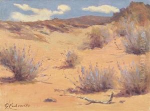 Pink Desert by Giuseppe Cadenasso
