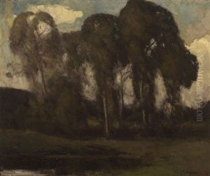 Chain Of Lakes, Golden Gate Park by Giuseppe Cadenasso