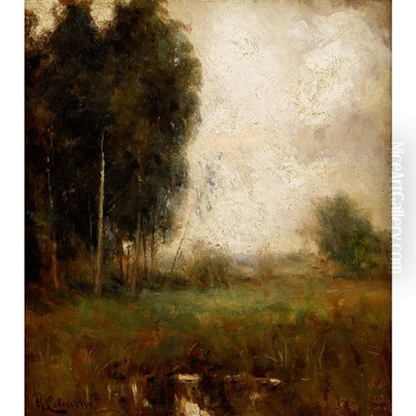 Spring Landscape With Marsh - view 1