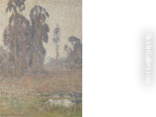 Eucalyptus In A Meadow - view 1