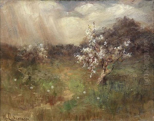 Spring Shower - view 1