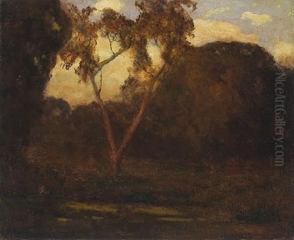 Tree In The Twilight Glow - view 1
