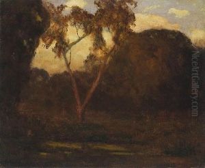 Tree In The Twilight Glow by Giuseppe Cadenasso