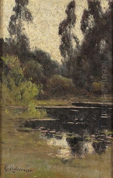 Seeuferpartie Im Wald - view 1