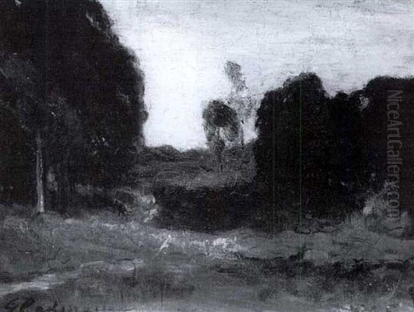 Clearing In The Woods - view 1