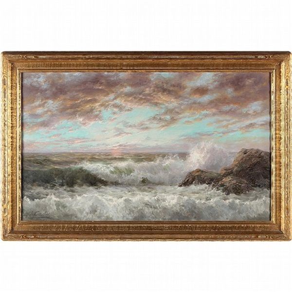 Rocky Seashore - view 1