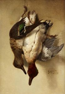 Green Winged Teal