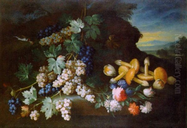 Uva, Fiori E Funghi In Un Paesaggio - view 1