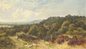 Near Holmebury Hill, Surrey by Walter Wallor Caffyn