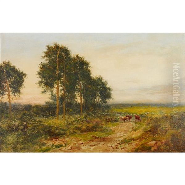 Cattle On A Path - view 1
