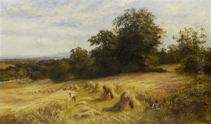 Harvest Time