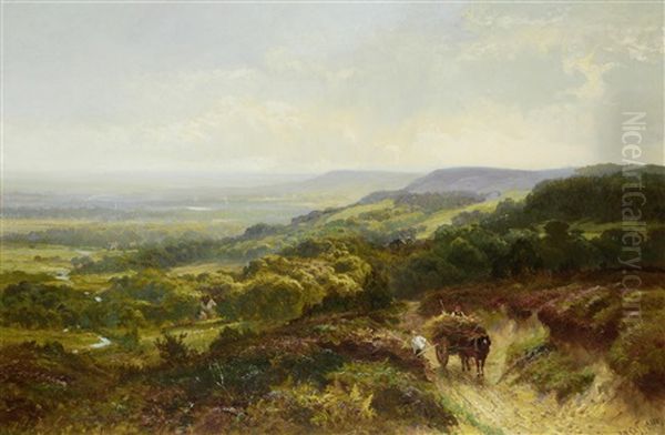 Bracken Gathering - view 1