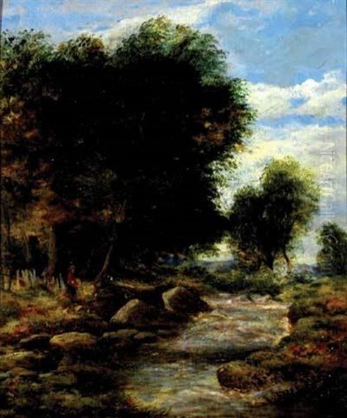 Rocky Stream In A Wooded Landscape - view 1