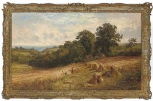 Through The Corn Fields To The Sea Through The Corn Fields To The Sea
