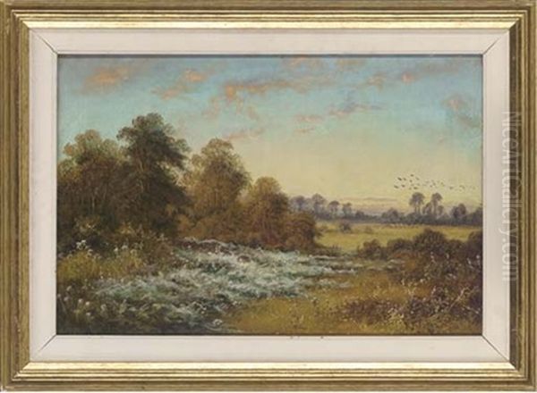 An Autumn Meadow - view 1