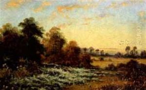Meadow Landscape With Birds Meadow Landscape With Birds