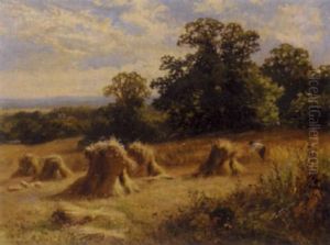 Harvesting At Winchfield Harvesting At Winchfield
