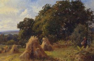 The Cornfield