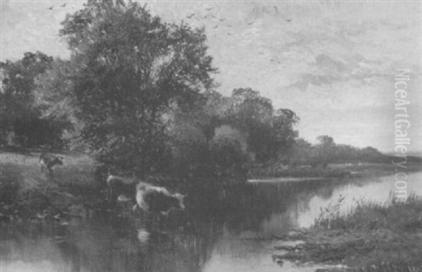 Cows Passing Through A Stream - view 1