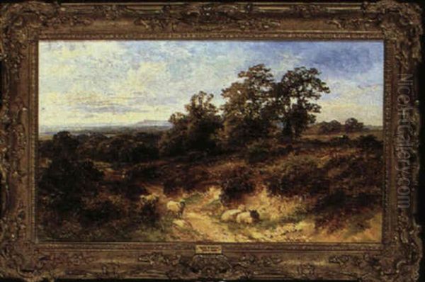 On The Surrey Hills Looking To Blackdown - view 1