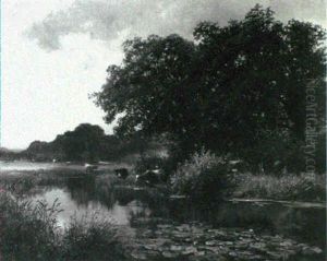 Cattle Watering At A River Cattle Watering At A River