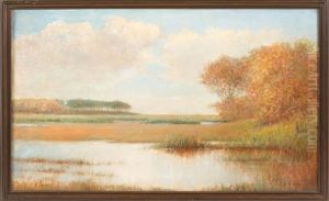 Saquatucket Marsh, Harwich Port, Massachusetts