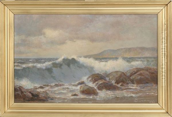 Waves Crashing On Shore - view 1