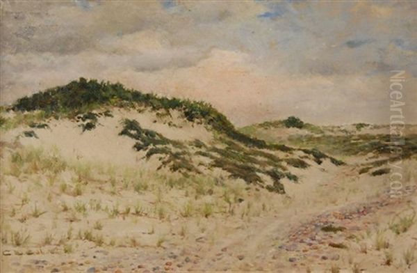 Dunes - view 1