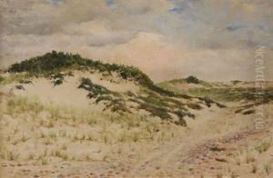 Dunes Dunes