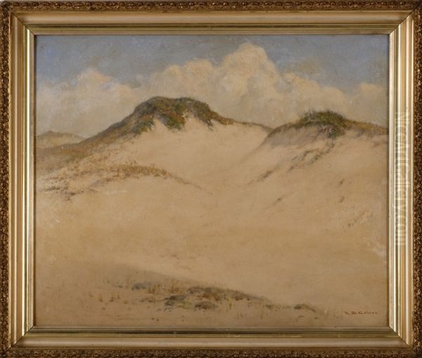 Dune At Sandy Neck - view 1