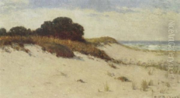 San Dunes, Cape Cod - view 1