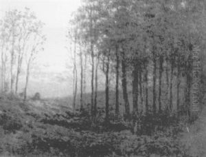 Evening Landscape