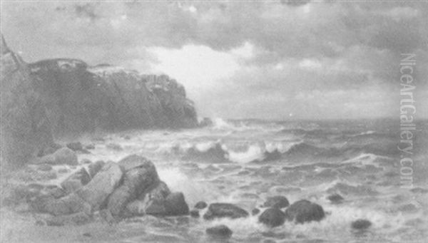 Rocky Shore Scene - view 1