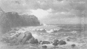 Rocky Shore Scene