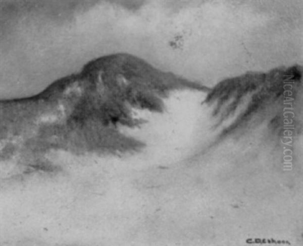Sand Dunes - view 1