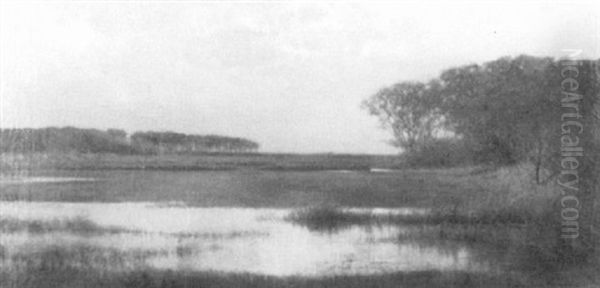 Pleasant Bay Marsh - view 1