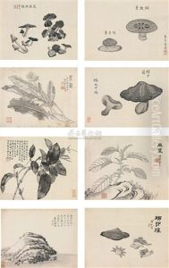 Flowers (album W/8 Works)