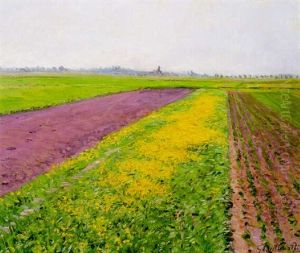 La Plaine De Gennevilliers, Champ Jaune by Gustave Caillebotte
