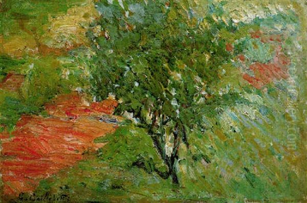 Arbre Au Bord D'un Sentier - view 1