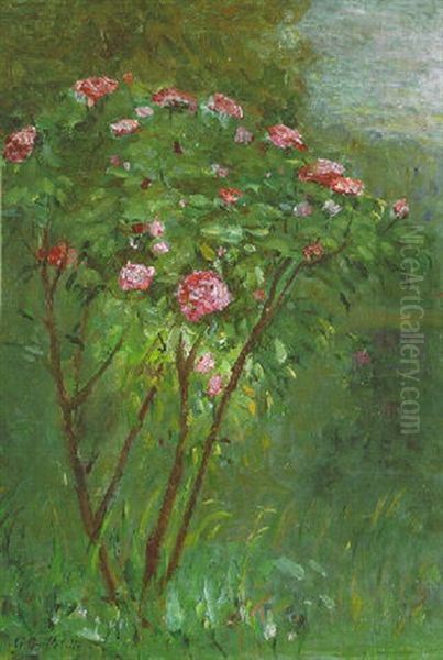 Le Rosier Fleuri - view 1