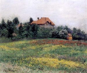 Paysage En Normandie