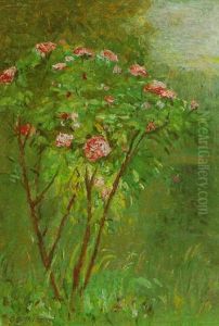 Le Rosier by Gustave Caillebotte