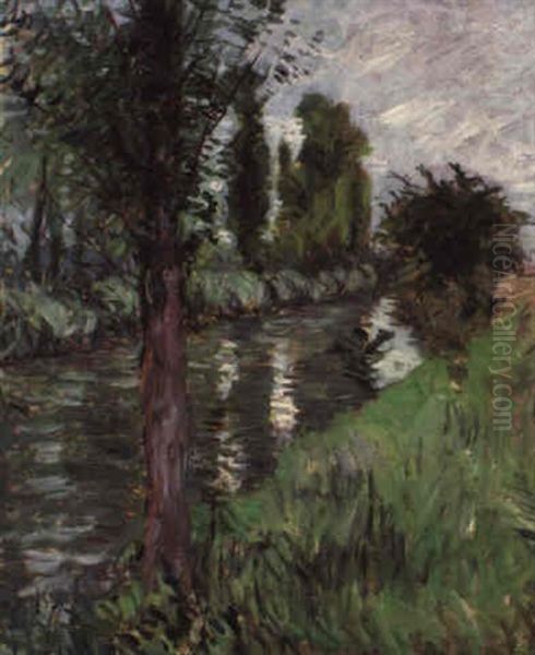 Saules Au Bord D'une Riviere - view 1