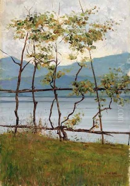 Blick Auf Einen See - view 1