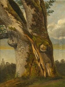 Chene by Alexandre Calame