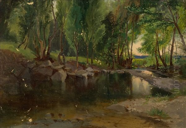 Arbres Et Miroir D'eau - view 1
